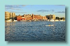 91_Iron Cove View